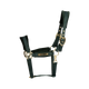 Kentucky Horsewear - Licol Velvet pine green | - Ohlala