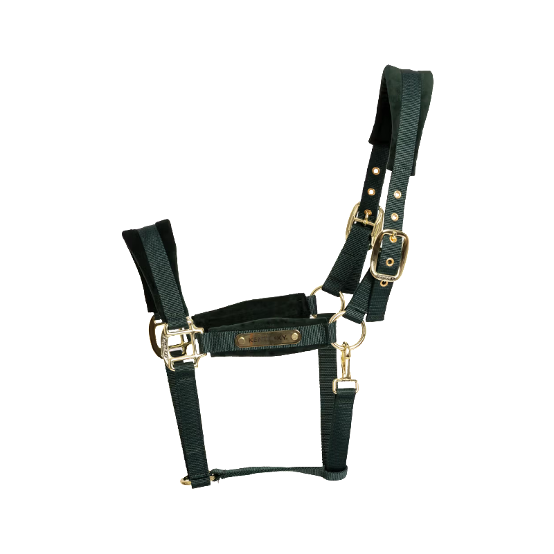Kentucky Horsewear - Licol Velvet pine green
