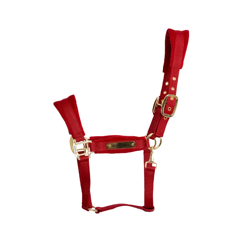 Kentucky Horsewear - Licol Velvet rouge