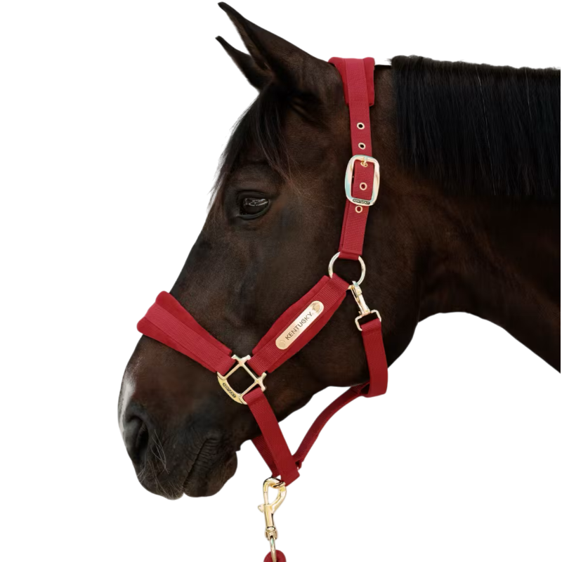 Kentucky Horsewear - Licol Velvet rouge