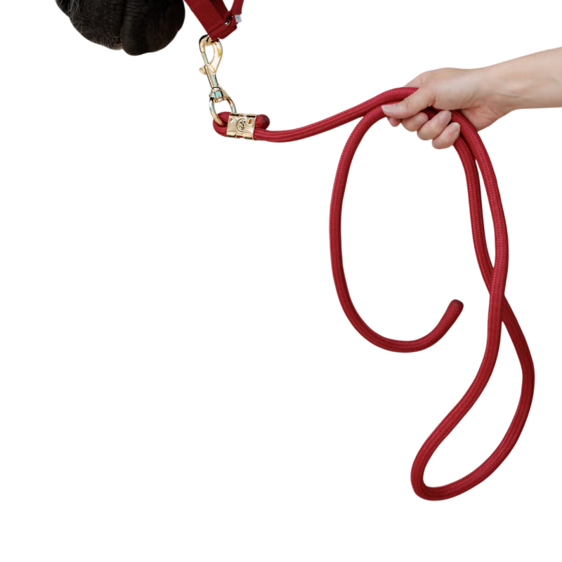 Kentucky Horsewear - Longe Rope Basic rouge 2m