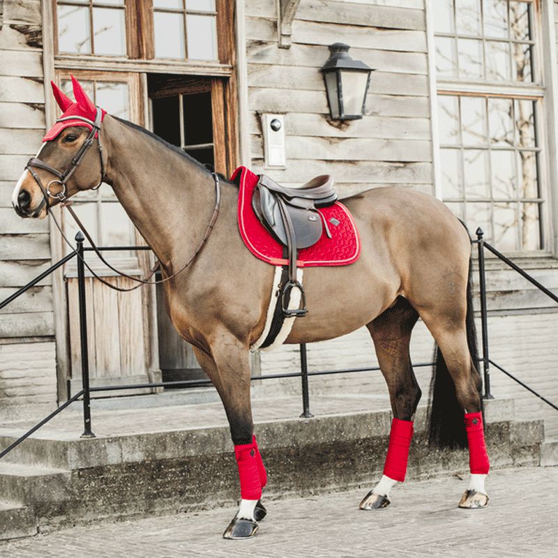 Kentucky Horsewear - Tapis de selle Velvet jumping Rouge | - Ohlala