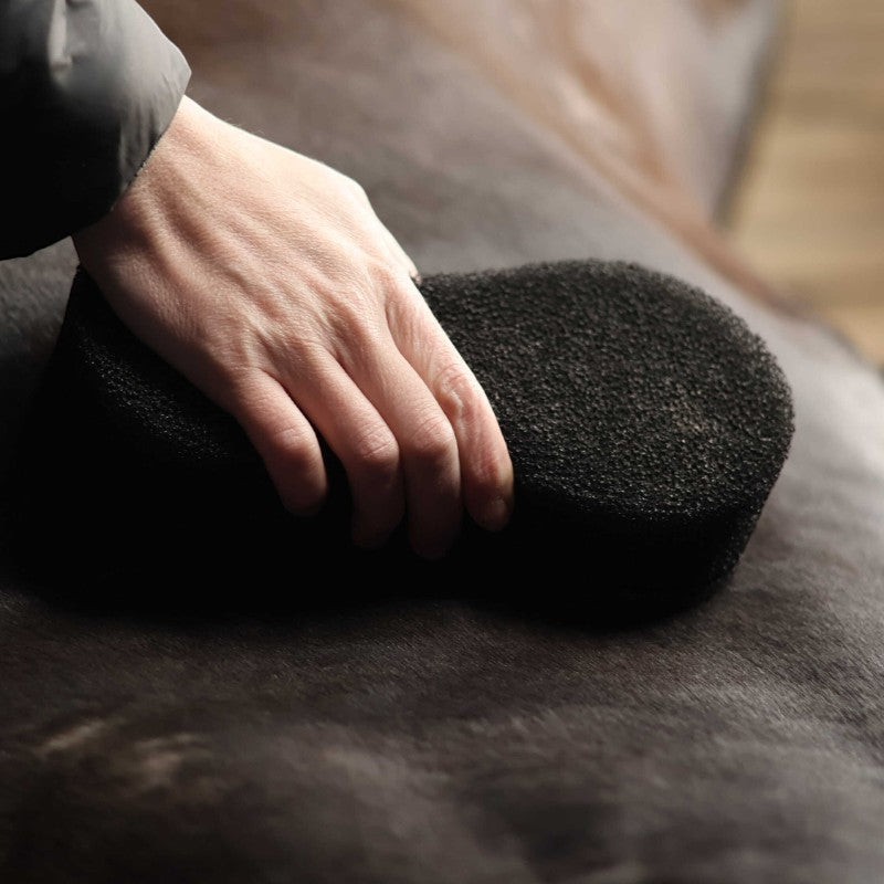 Lami-cell - Black Shine Scrubber Sponge 