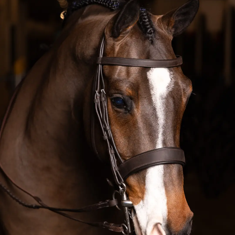 Lemieux - Bridon avec rênes Flat Hunter havane/ argent