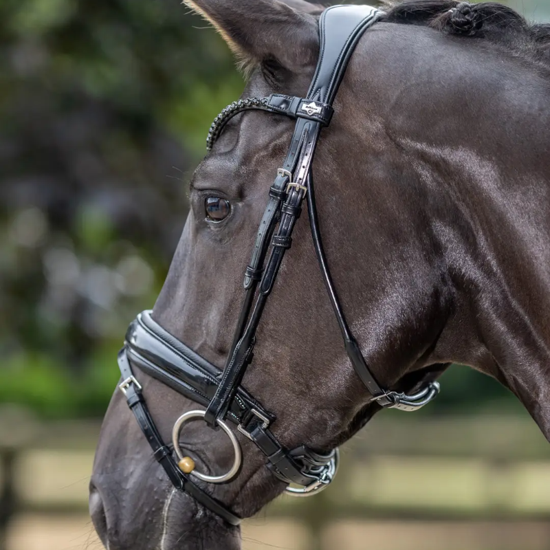 Lemieux - Bridon de dressage Kudos Patent noir