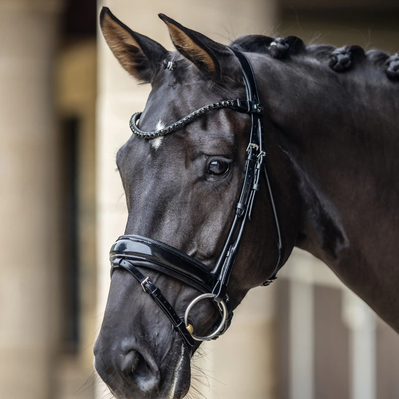 Lemieux - Bridon de dressage Kudos Patent noir