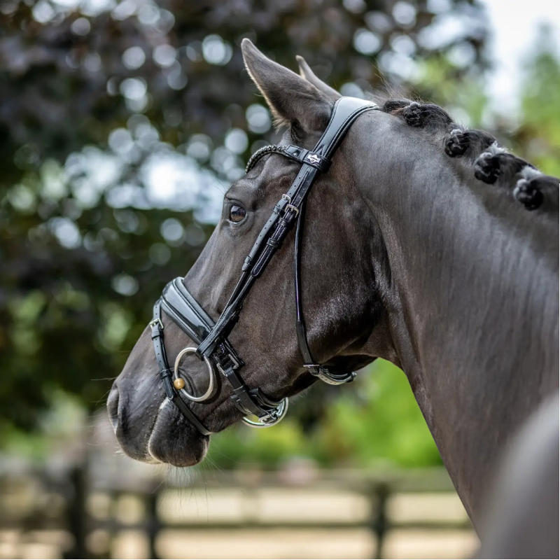 Lemieux - Bridon de dressage Kudos Patent noir