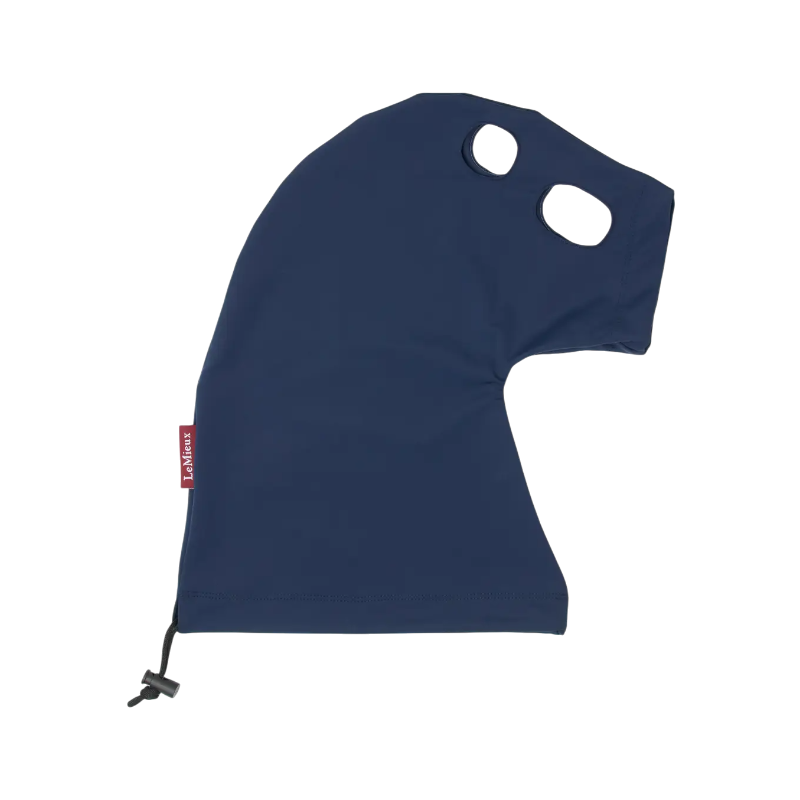 Lemieux - Hood for marine hobby horse 