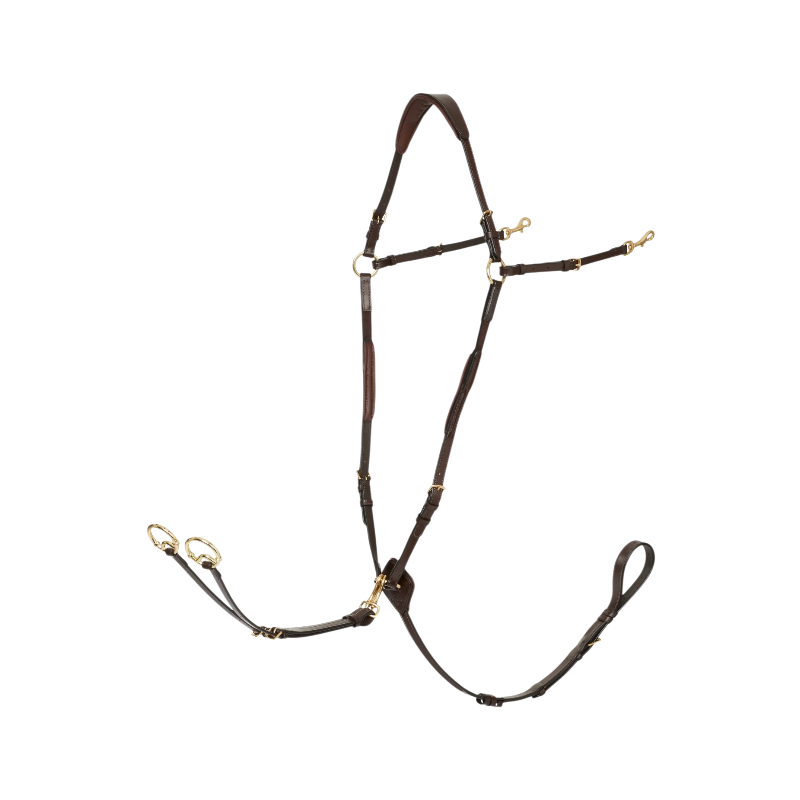 Lemieux - Collar de caza D-Ring Attachment marrón/ latón | - Ohlala