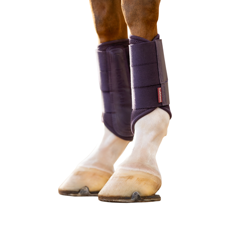 LeMieux - Polainas flexibles Mesh Arika juniper | - Ohlala