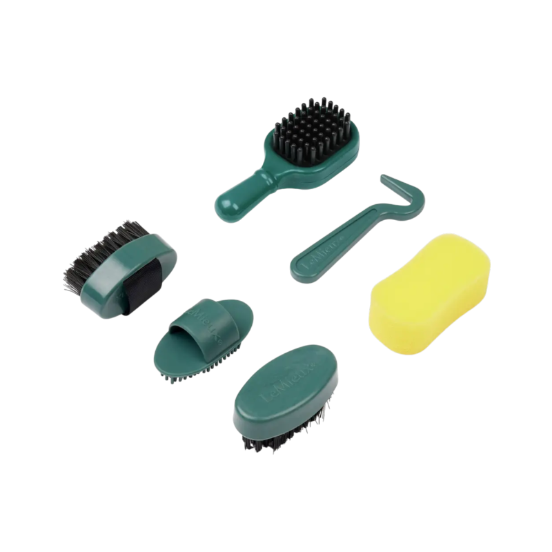Lemieux - Kit de pansage pour toy pony Sage | - Ohlala
