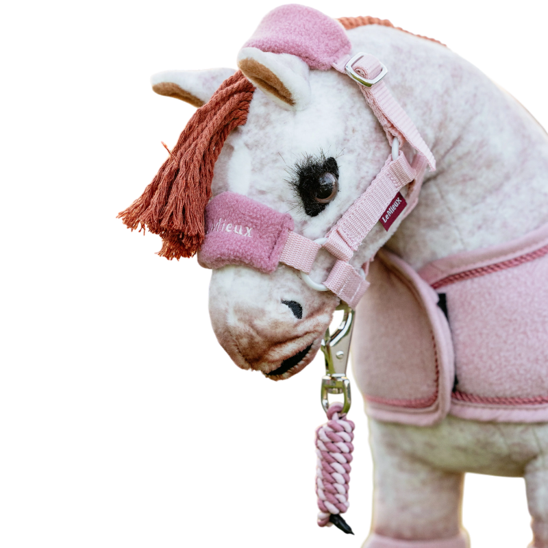 Lemieux - Licol et longe pour Toy Pony Vogue blossom