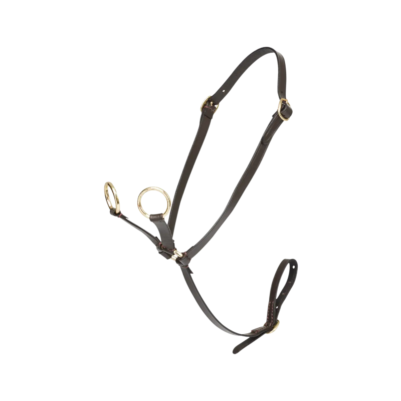 Lemieux - Martingale pour Toy Pony marron