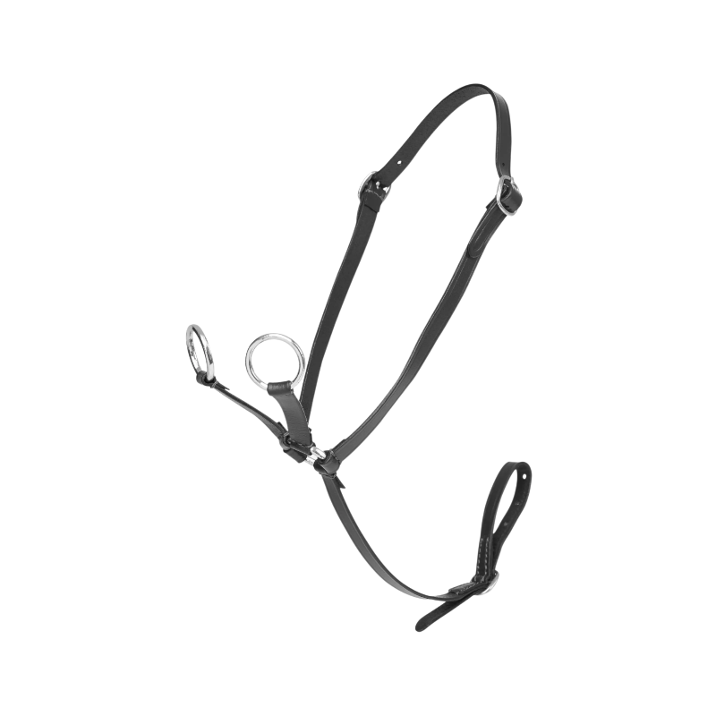Lemieux - Martingale pour Toy Pony noir