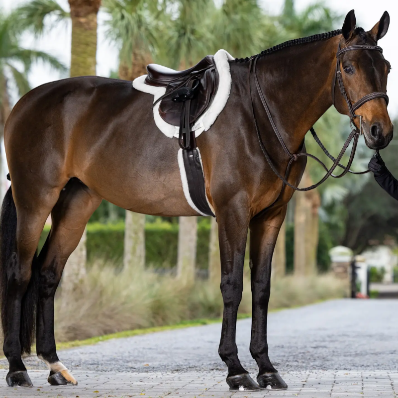 Lemieux - Tapis de Hunter Merino + ProSorb blanc