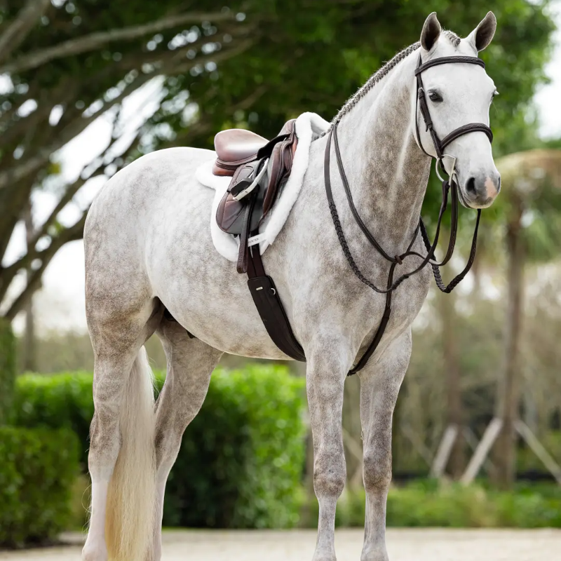 Lemieux - Merino+ ProSorb Hunter Pad white | - Ohlala