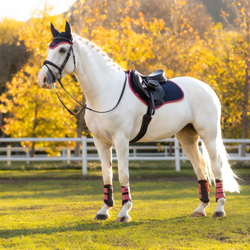 Lemieux - saddle pad Marine/cranberry suede square 