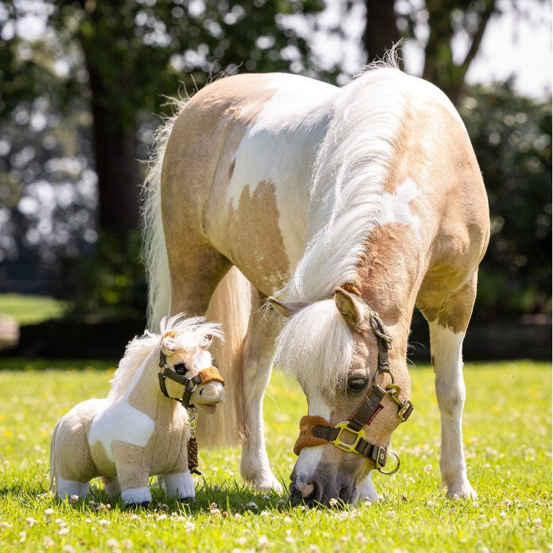 Lemieux - Toy Pony Lemon 