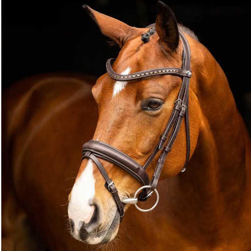 Lemieux - Bridon de dressage Arika marron/ argent