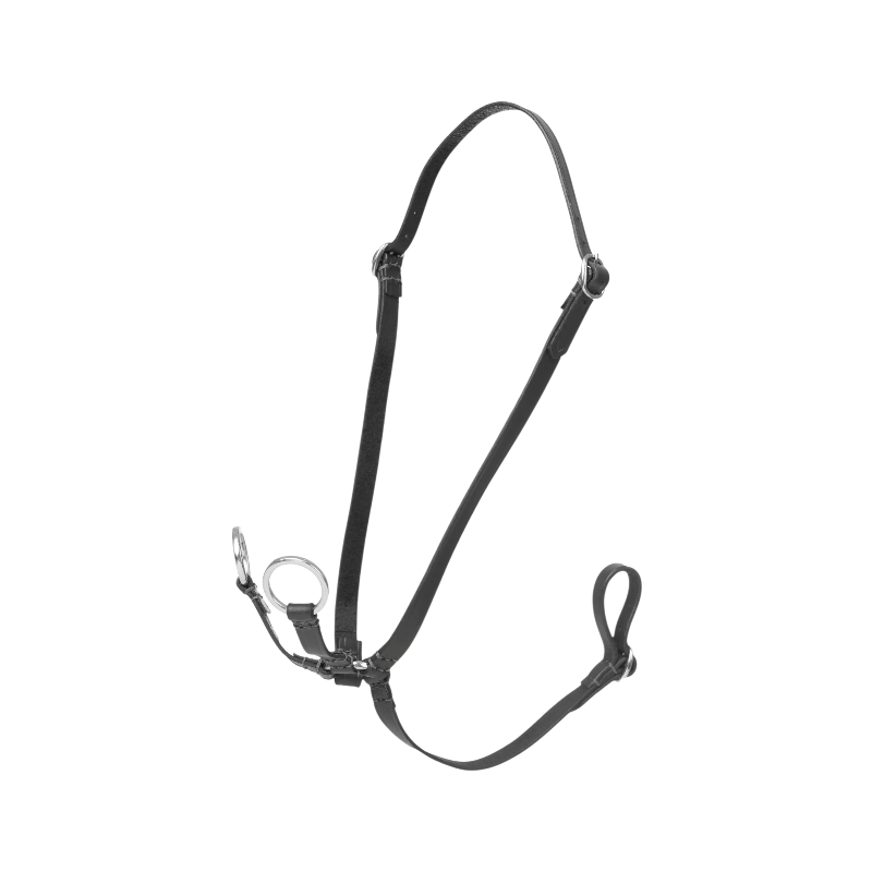 Lemieux - Black ring martingale for hobby horse 