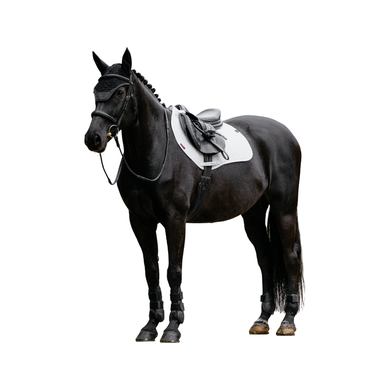 LeMieux - Tapis de selle Square Essence blanc | - Ohlala