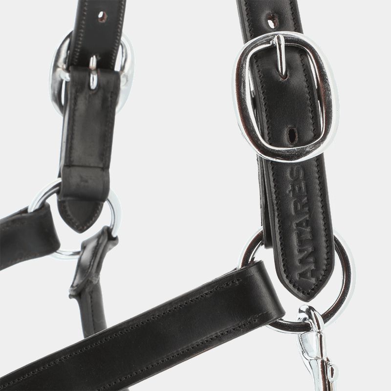 Antarès Sellier - Licol en cuir noir | - Ohlala