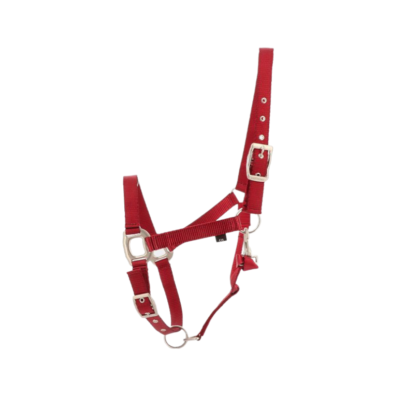 Equithème - Eclat burgundy horse halter