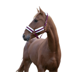 Norton - Licol Confort bordeaux/bouclerie or rose | - Ohlala
