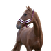 Norton - Comfort bordeaux/rose gold hardware headcollar | - Ohlala