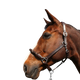 Canter - Licol en corde bouclerie argent marron/ marron | - Ohlala