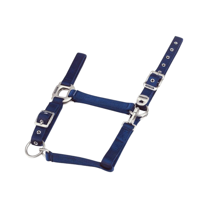 Equithème - Navy nylon halter