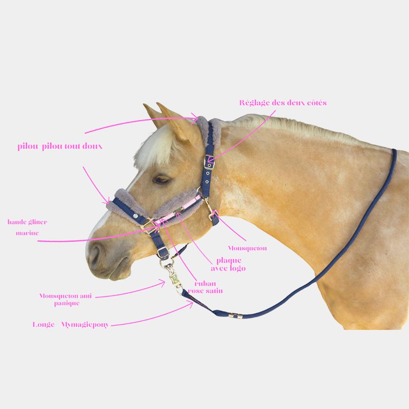 Zoé's ponies - Halter and lead #Mymagicponey navy/pink