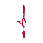 Riding World - Licol et longe Club fuchsia | - Ohlala