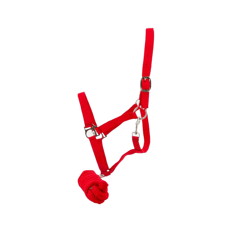 Riding World - Red Club Halter and Lead