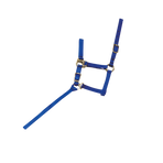 Norton - Licol foal + longe bleu roi | - Ohlala