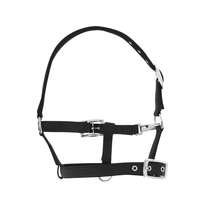 Norton - Black breathable foal halter