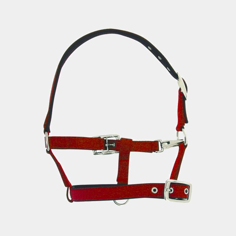 Norton - Licol foal respirant rouge | - Ohlala