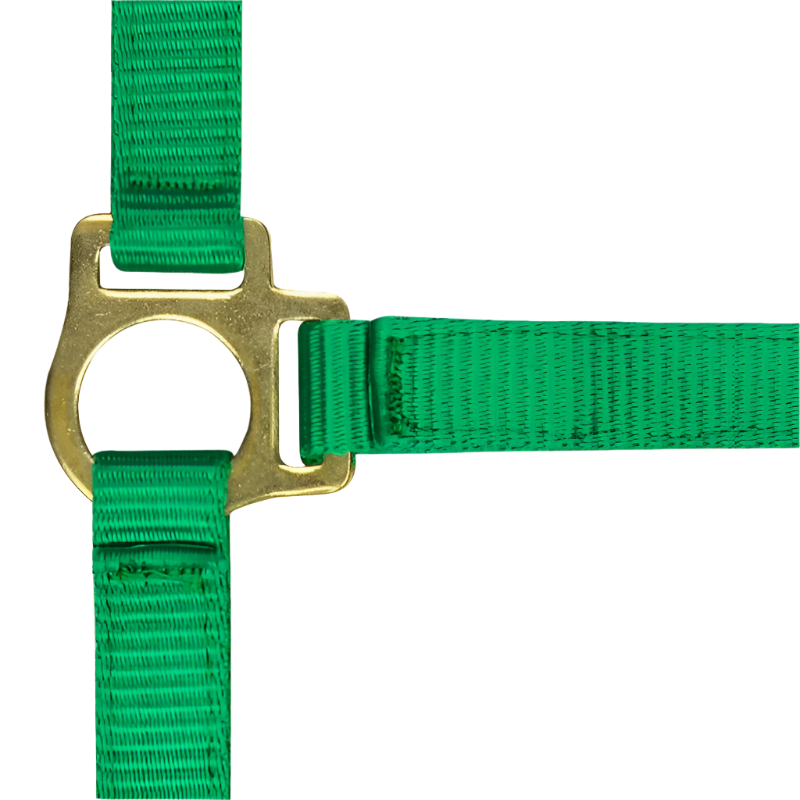 Norton - Foal halter + dark green lead