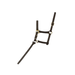 Norton - Licol foal + longe noir | - Ohlala