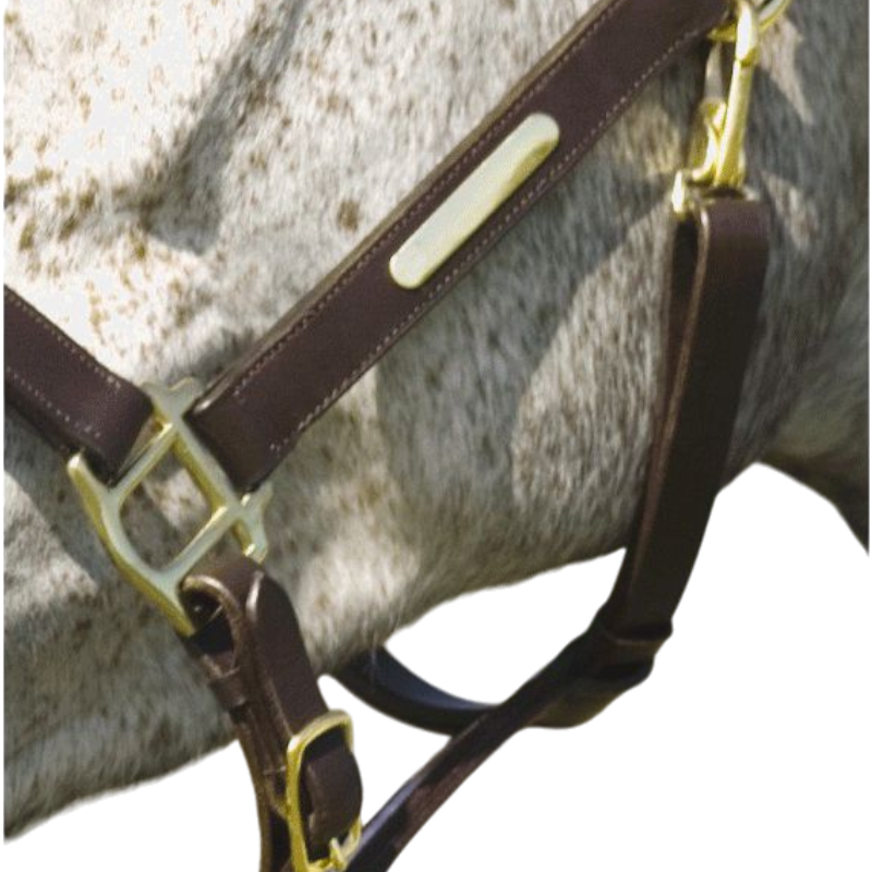 Norton - Tan Double Adjustable Halter