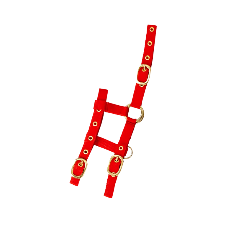 Norton - Adjustable mini halter red