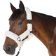 Canter - Licol de transport naturel | - Ohlala