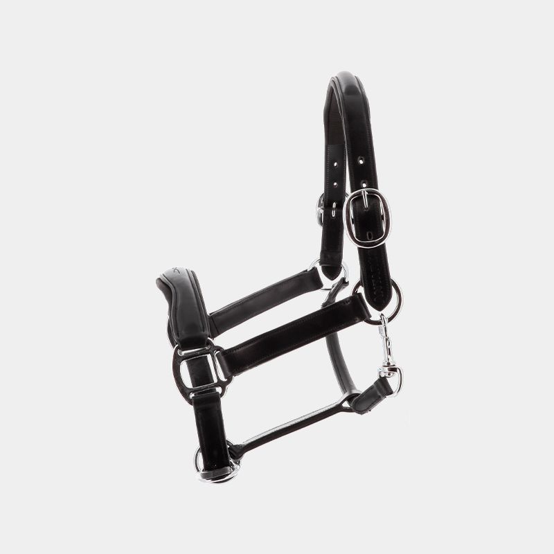 Antarès Sellier - Licol en cuir noir | - Ohlala