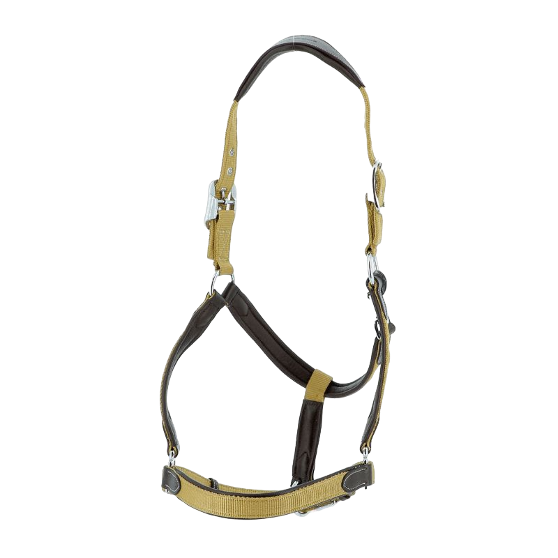 Flags &amp; Cup - Nylon and brown leather horse halter / cognac 