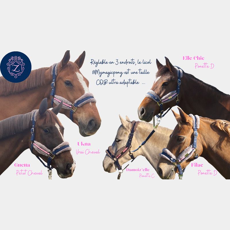 Les poneys de Zoé - Licol et longe #Mymagicponey marine/ rose | - Ohlala