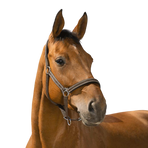 Norton - Reflective halster choco | - Ohlala