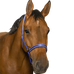Norton - Reflective Headcollar Blue | - Ohlala