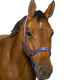 Norton - Reflective Headcollar Blue | - Ohlala
