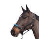 Canter - Licol en corde bouclerie argent noir/ emeraude | - Ohlala