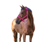 Norton - Pink lined fluorescent headcollar | - Ohlala